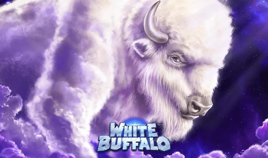 White Buffalo