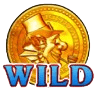 Wild Symbol